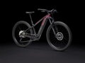 Elektrobicykel Trek Powerfly+ 6 Gen 5 2025 čierny bordový