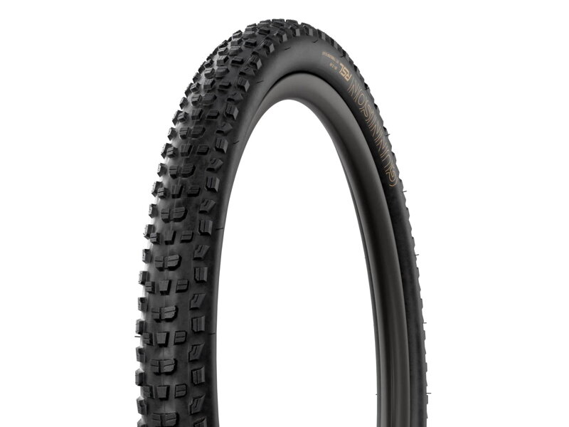 Bontrager Pneu VTT Gunnison RSL XT TLR 29x2.4 noir