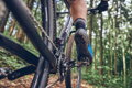 SHIMANO Baskets SHXC502 bleu