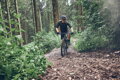 SHIMANO Baskets SHXC502 vert