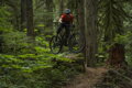 SHIMANO Baskets SHAM903 noir