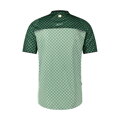 Maillot SHIMANO FUJIMI vert