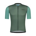 Maillot SHIMANO ARIA vert