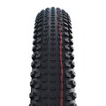 SCHWALBE Pneu RICK XC PRO (62-622) 29x2.40 Evolution 67EPI 760g Transparent TLR Speed ​​​​NEW25
