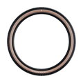 SCHWALBE Pneu RICK XC PRO (62-622) 29x2.40 Evolution 67EPI 760g Transparent TLR Speed ​​​​NEW25