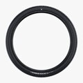 SCHWALBE Pneu RICK XC PRO (62-622) 29x2.40 Evolution 67EPI 760g Noir TLR SpeedGrip NEW25