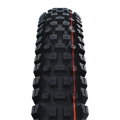 SCHWALBE Pneu ALBERT GRAVITY PRO (63-622) 29x2.50 Evolution 67EPI Radial 1330g Noir TLR Soft NEW25