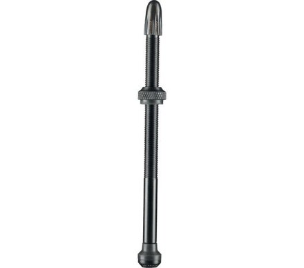 Valve Tubeless SCHWALBE 100mm la paire