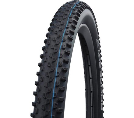 SCHWALBE Pneu RACING RAY (60-622) 29x2.35 Evolution 67EPI 730g Noir TLE SpeedGrip