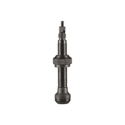Valve Tubeless SCHWALBE 40mm la paire