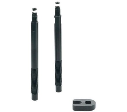 Rallonges de valve SCHWALBE Tubeless 65mm la paire