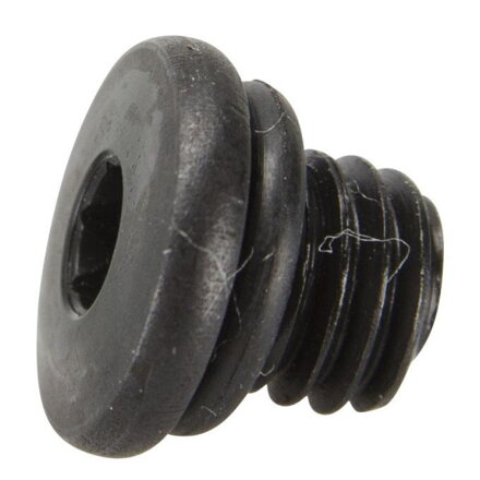 SHIMANO Vis de purge du levier de frein XTR/XT/SLX/SAINT