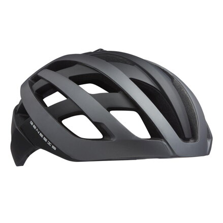 Casque GENESIS titane mat