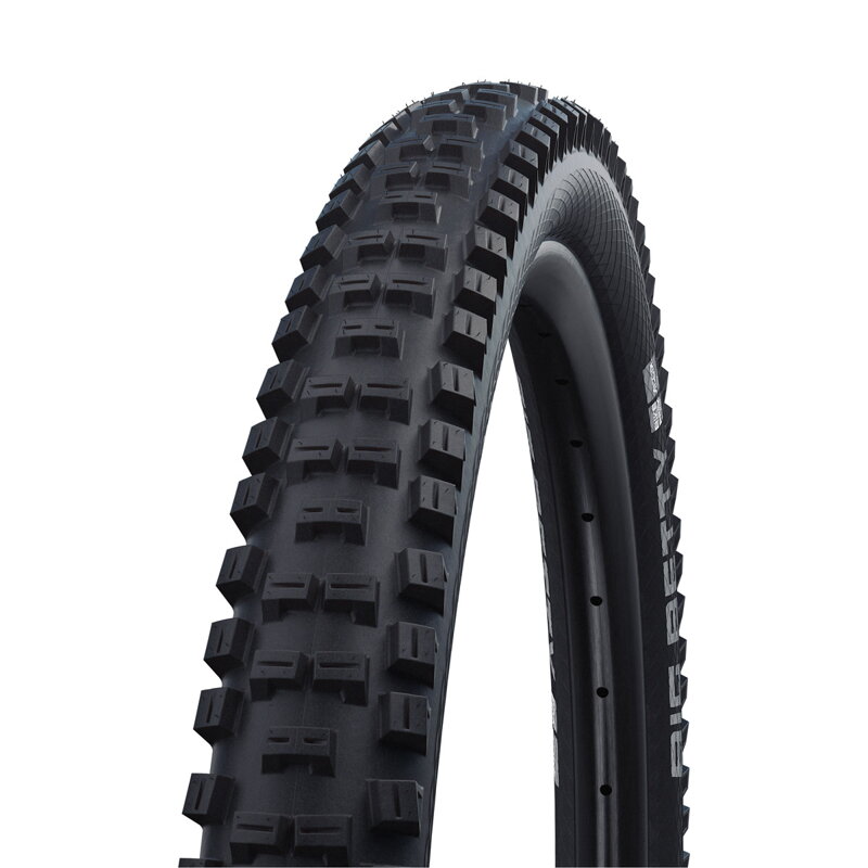 SCHWALBE Pneu BIG BETTY (62-559) 26x2.40 Performance 2x50EPI 1350g Noir SCHWALBE Pneu BIG BETTY (62-559) 26x2.40 Performance 2x50EPI 1350g Noir