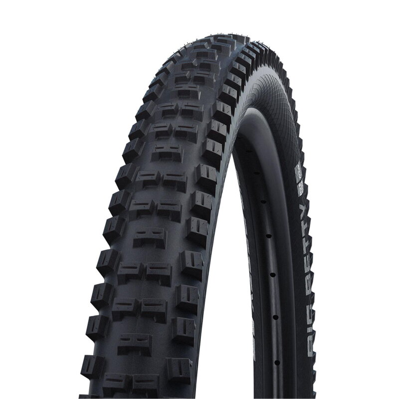 SCHWALBE Pneu BIG BETTY (62-622) 29x2.40 Performance 67EPI 1210g Noir TLE